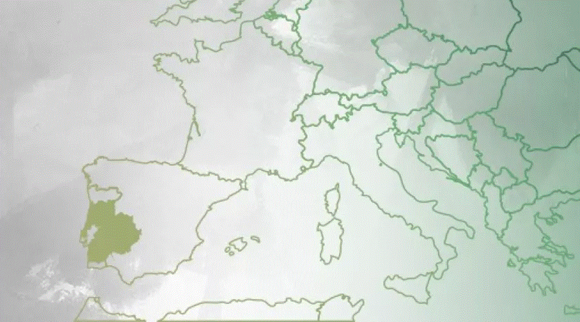 Euroace