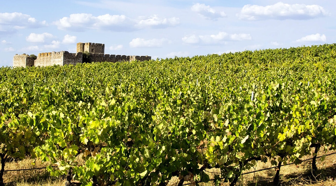 Vinos Alentejo