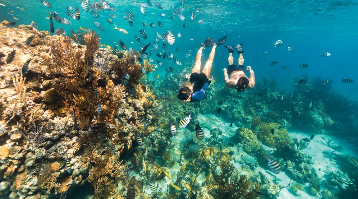 Bahamas buceo