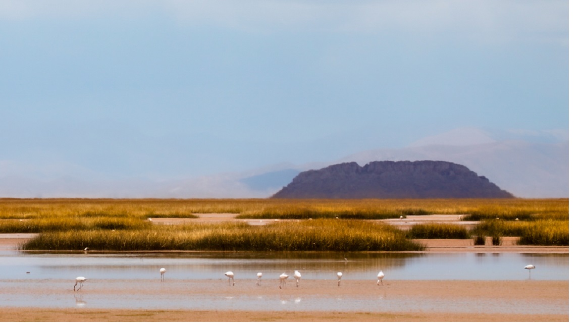 Bolivia Los Pájaros