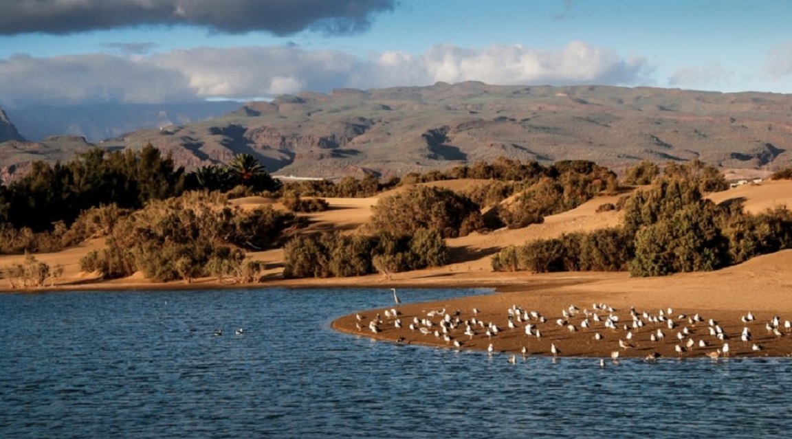 Maspalomas - Gran Canaria