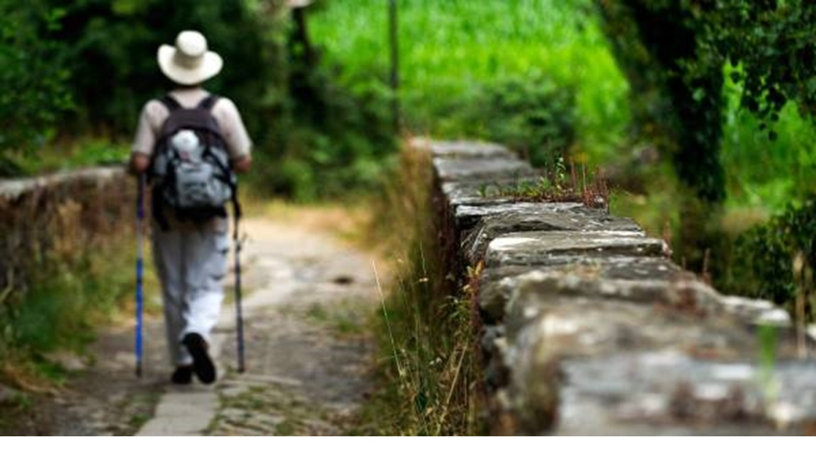 Galicia Camino