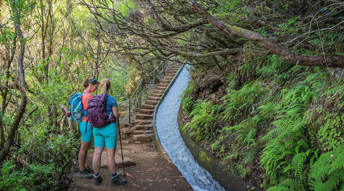 Levada - Madeira