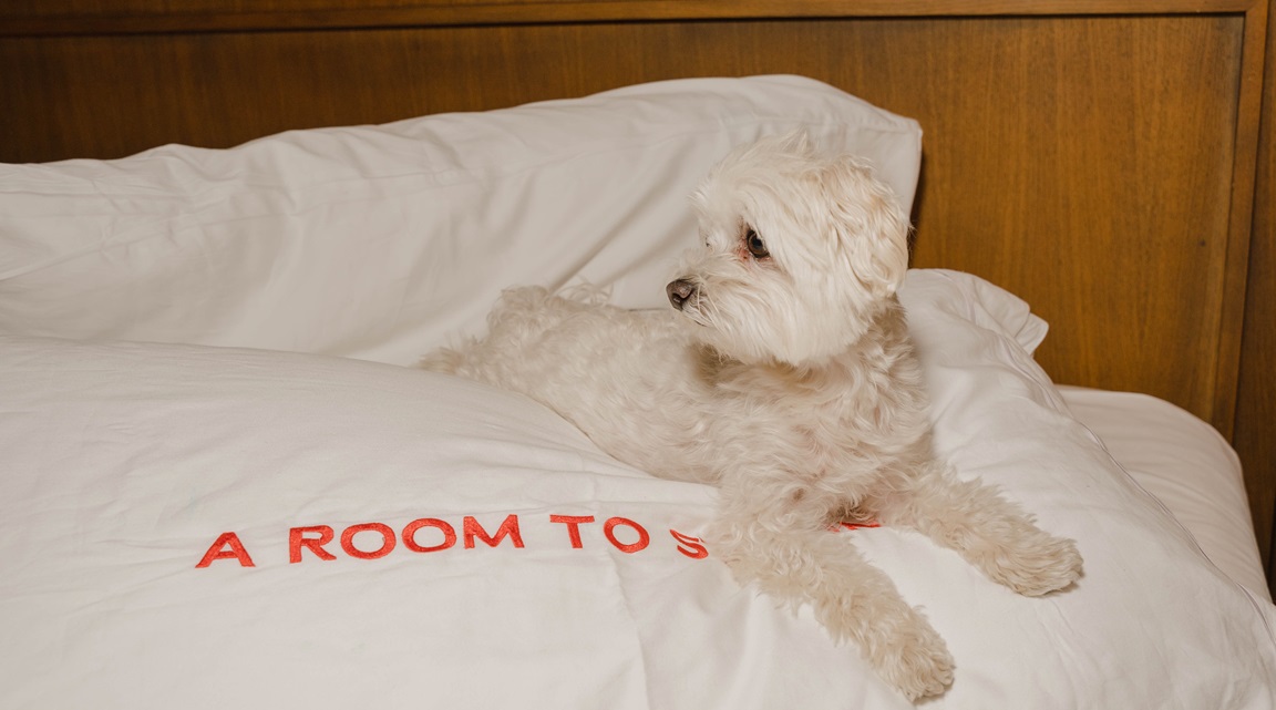 Room Mate 