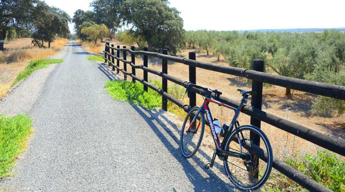 Montilla Moriles Ciclismo