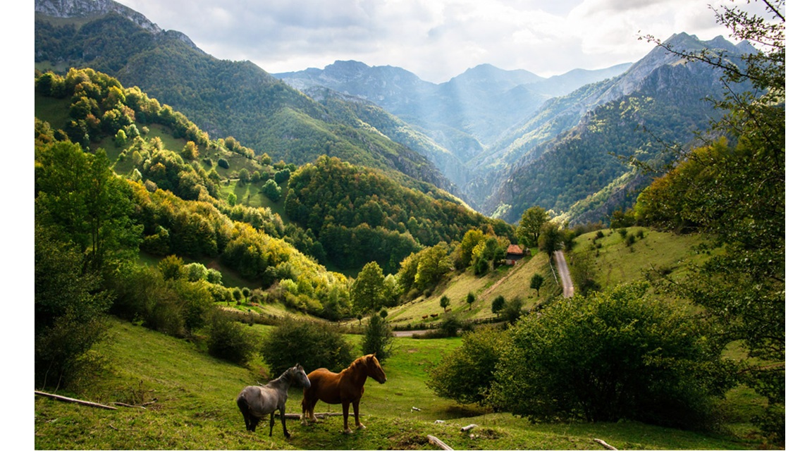 Casonas Asturianas