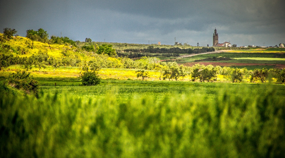 Llerena