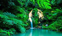 Azores_Naturaleza