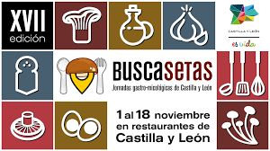 Buscasetas_2018