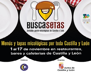 Buscasetas 2019