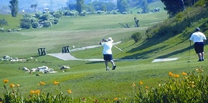 Costa_del_Sol_golf_aves