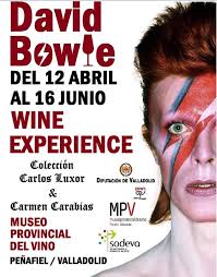 David_Bowie_Penafiel