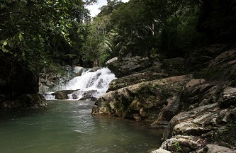 Ecuador_Choco_Andino