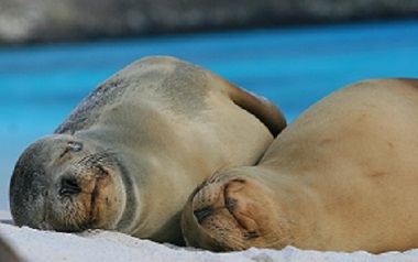 Ecuador_Galapagos