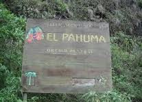 Ecuador_Pahuma