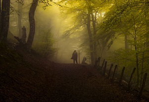 Fairway_Antonio_Pascual_Roncesvalles