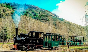Ferrocarriles_Historicos