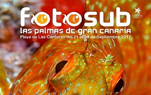 FotuSub