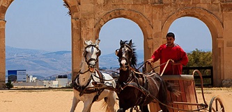 Jordania_Jerash_Chariots