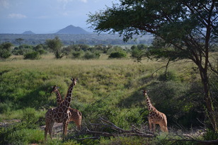 Kenia_Samburu