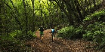 ©Turismo La Palma