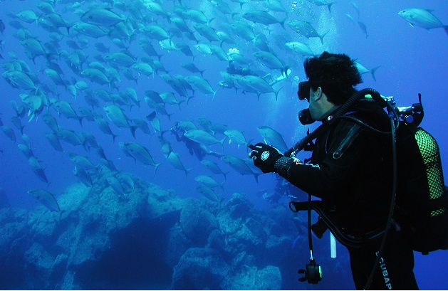 Madeira_Buceo_VisitMadeira