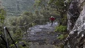 Madeira_Caminho_Real