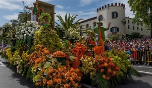 Madeira_Flor