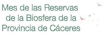 Mes_Reserva