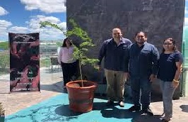 Reforestamos Mexico