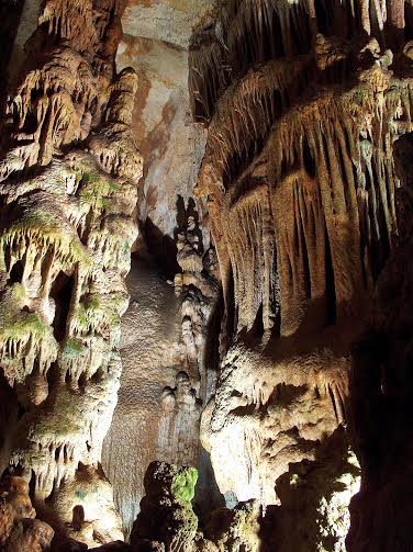 Palencia_Cueva_Franceses