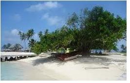 Panama_Bocas_del_Toro