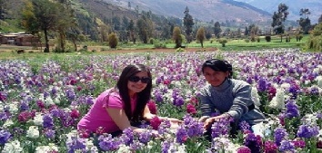 Peru_Foro_Turismo