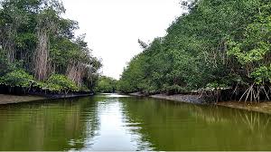 Peru_Santuario_Manglares_Tumbes