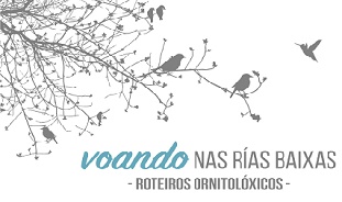 Rias_Baixas_voando