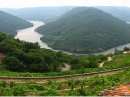 Ribeira_Sacra