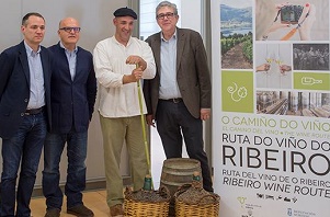 Ruta_Vino_Ribeiro