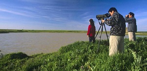 Salamanca_BirdWatching