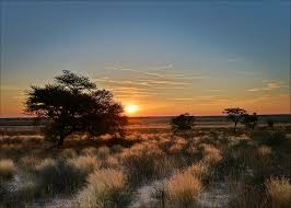 Sudafrica_Kgalagadi_Transfrontier_Park