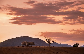 Sudafrica_Safari