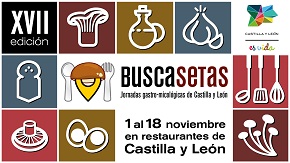 buscasetas18