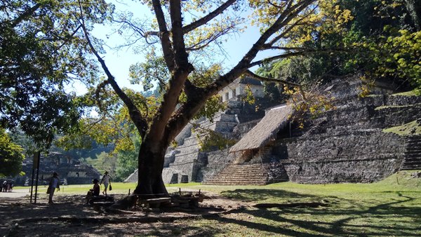 chiapas_cho3a