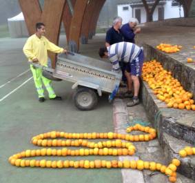 naranjas