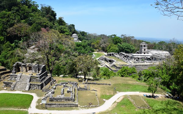 palenque_verde