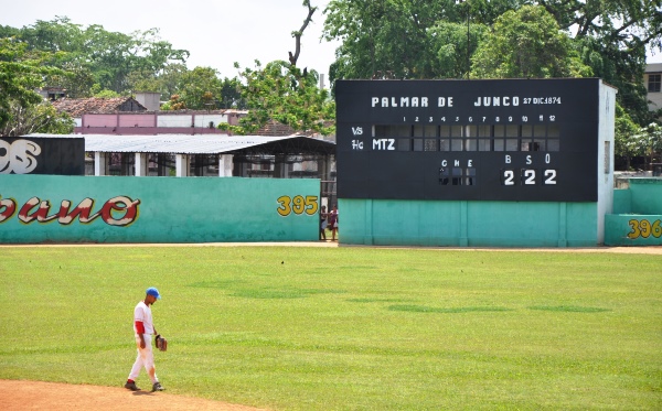 palmar