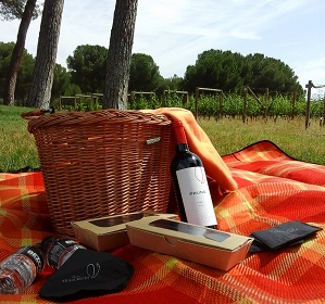 picnic_villacreces