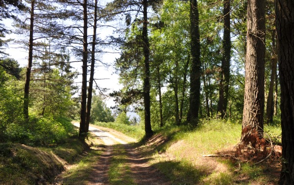 Ruta del 'Espacio Histórico Frente del Nalón', en El Pedrosu, Candamo ruta