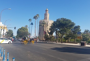 sevilla_taxi_torre_oro