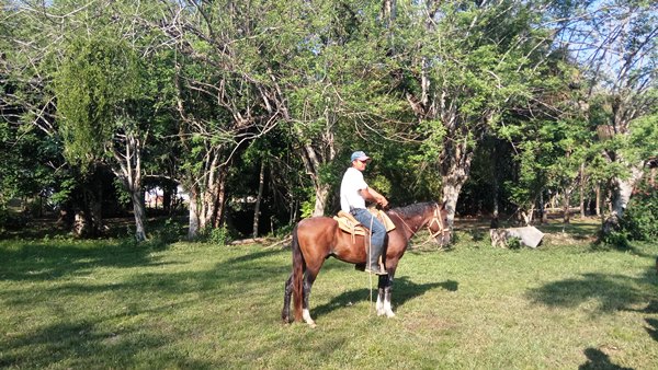 vallescondido_caballo