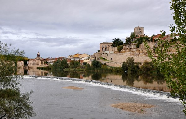 zamora2